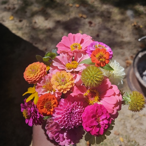 Meet your Posher, Brooke - Picture 4 of 8